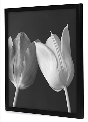 18x18 Poster Frame
