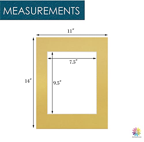 Mat Board Center 10 Pack 11x14 Photo Mats for 8x10 Picture (10 Count)