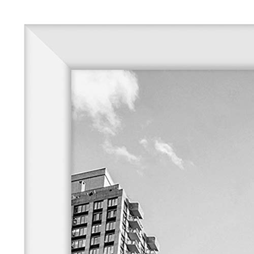 24x36 Poster Frame
