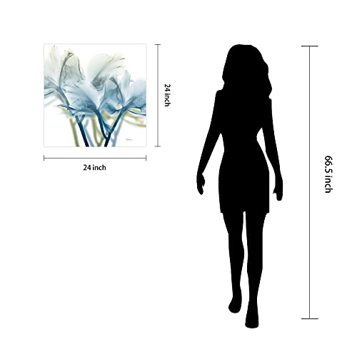 Frameless Free Floating Tempered Glass Panel Graphic Wall Art Ready to Hang