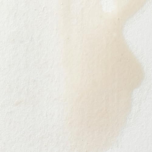 Professional Watercolor