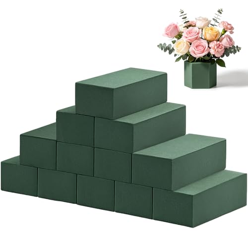 12 Pcs Wet & Dry Floral Foam Blocks
