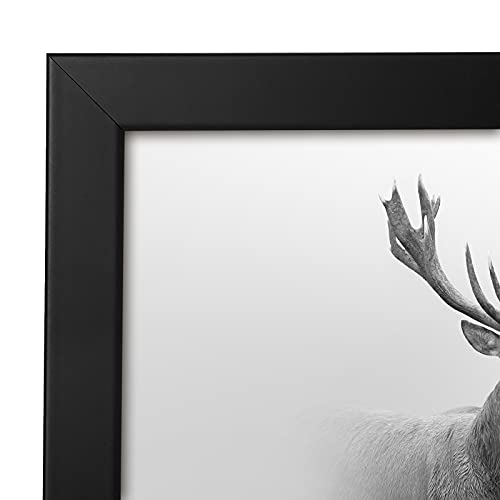 16x16 Poster Frame