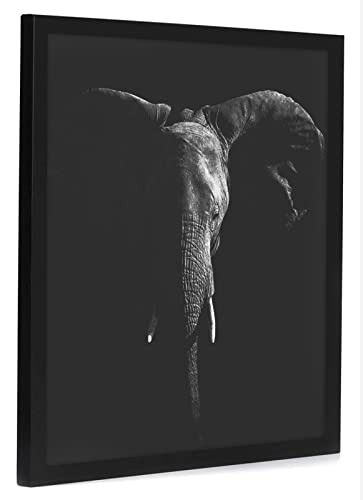 20x20 Poster Frame