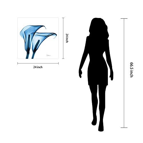Frameless Free Floating Tempered Glass Panel Graphic Wall Art Ready to Hang (2 Count)