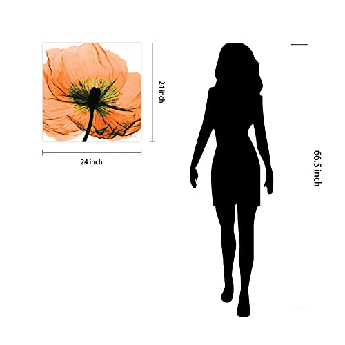 Frameless Free Floating Tempered Glass Panel Graphic Wall Art Ready to Hang