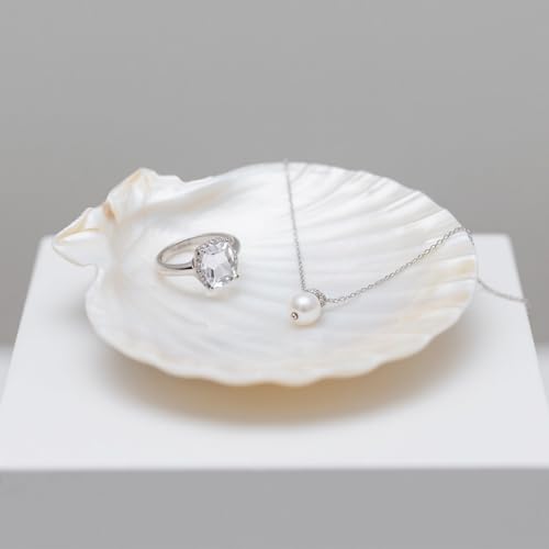72PCS Scallop Shells for Crafts Large Beach Natural Shells Bulk for Decoupage DIY Crafts Seashell Decorations Home Decor White 4''
