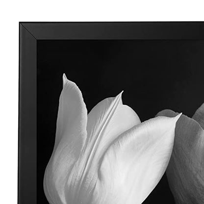 18x18 Poster Frame