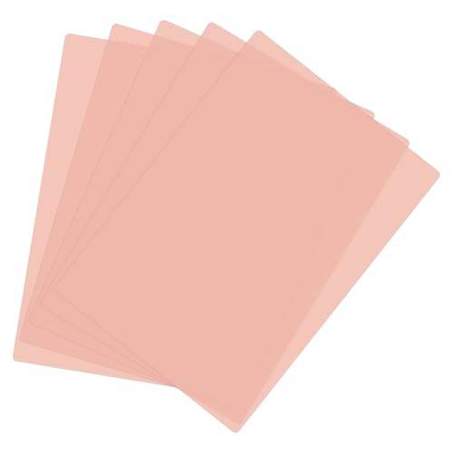 A4 Guided Reading Sheet (5 Count)