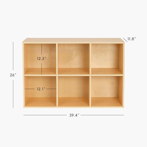6 Cube Storage Organizer