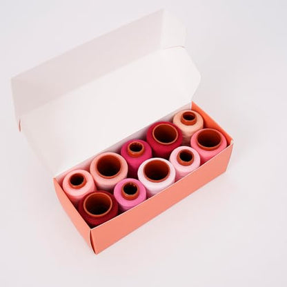 10 Pcs Sewing Thread Set (2400 Foot)