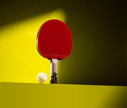 Ping Pong Paddles (2 Count)