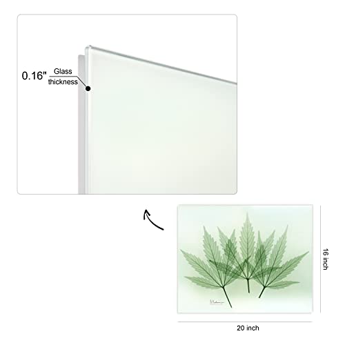 Frameless Free Floating Tempered Glass Panel Graphic Wall Art Ready to Hang