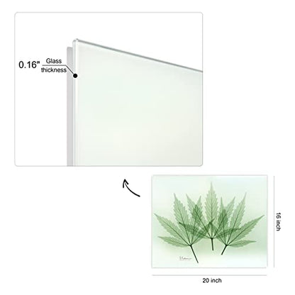 Frameless Free Floating Tempered Glass Panel Graphic Wall Art Ready to Hang