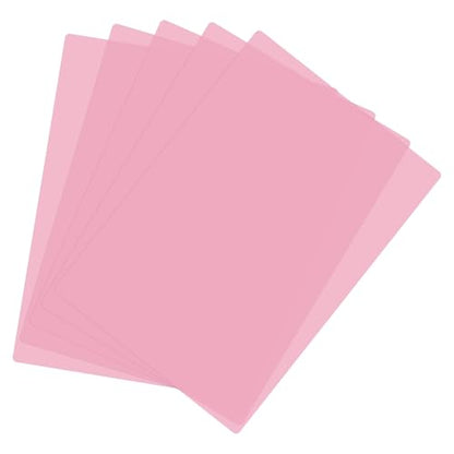 A4 Guided Reading Sheet (5 Count)