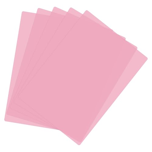 A4 Guided Reading Sheet (5 Count)