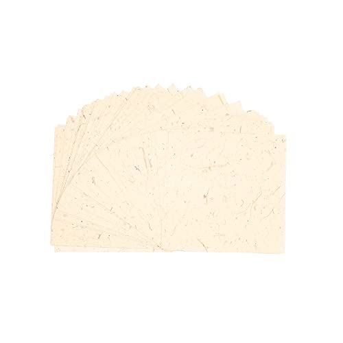 Natural Fiber Mulberry Tree (50 Count)