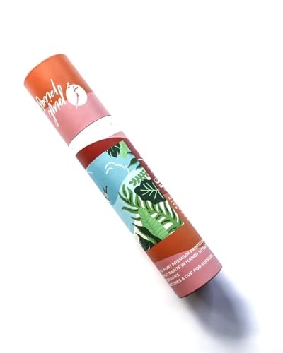 Paint by Number Kit