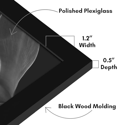 17x19 Poster Frame