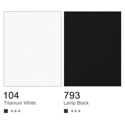 White and Black Acrylic Paint (8 Fl Oz)