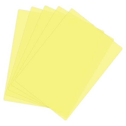 A4 Guided Reading Sheet (5 Count)
