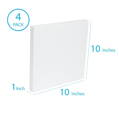 Silverlake 10x10x1 Craft Foam Squares for Styrofoam Board Projects (4 Count)
