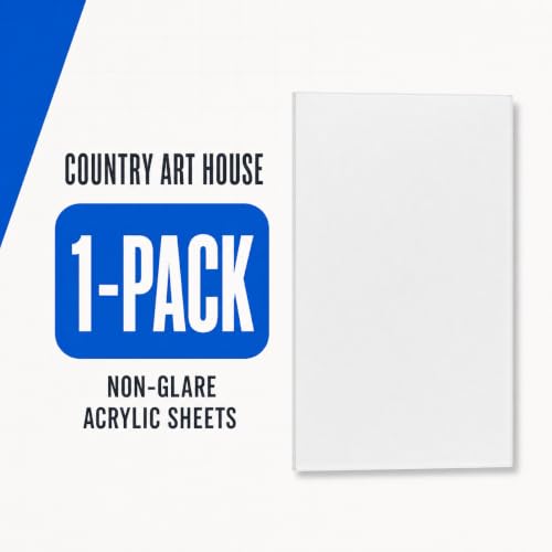 Non Glare Acrylic Replacement for 24x40 Picture Frame
