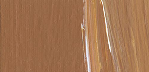 CRYL Studio Artist Acrylic Paint (16.91 Fl Oz)
