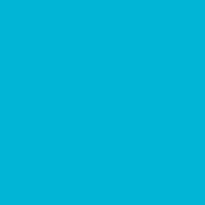 Ant Smart Adhesive Permanent Vinyl Compatible with Cricut Explore and Maker Series Without Cutting Mats, Create DIY Projects, Decals, Stickers & More (Light Blue, 13inch x 15ft)