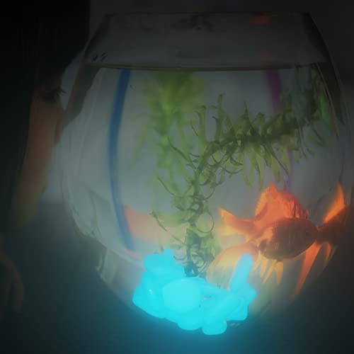 Glow in The Dark Rocks (200 Count)