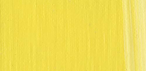 CRYL Studio Artist Acrylic Paint (16.91 Fl Oz)