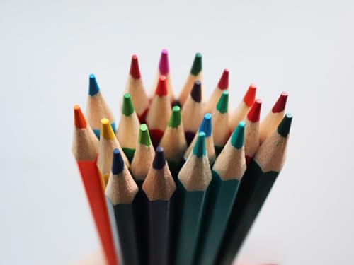 50Pcs Colored Pencils (50 Count)