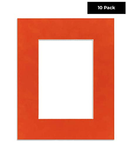 Pack of Ten Acid Free 8x10 Mats Bevel Cut for 5.5x8.5 Photos (10 Count)