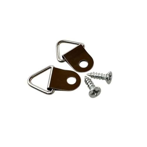 100 Pack Small Triangle Ring Steel Picture Hangers with Screws Picture Frames Picture Hang Solutions for Hanging Clock Paintings Artwork Picture Frame Hook Photos (100 Count)