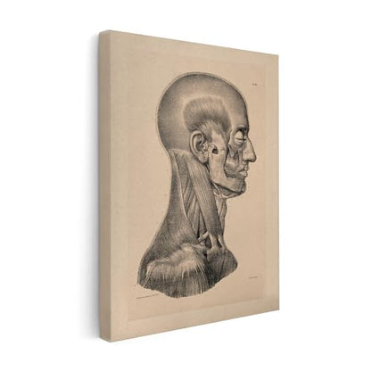 Vintage Science Canvas