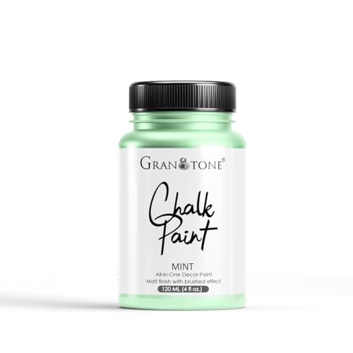 Chalk Paint Mint Green 4.1 fl oz 120 ml (4.1 Fl Oz)