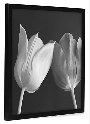 18x18 Poster Frame