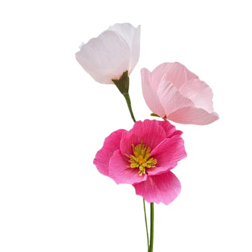 Pink Crepe Paper Poppy Bouquet Making Kit 24 pcs DIY Craft Set for Home Decor & Events Complete Craft Materials for Floral Art (194 Count)