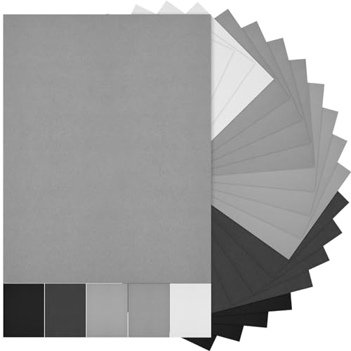 100 Sheets 5 Shades Cardstock Paper (100 Count)