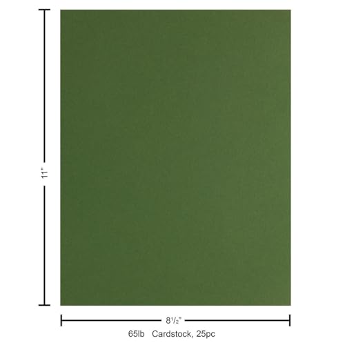 PA Paper Accents Stash Builder Cardstock 8.5" x 11" BParrot