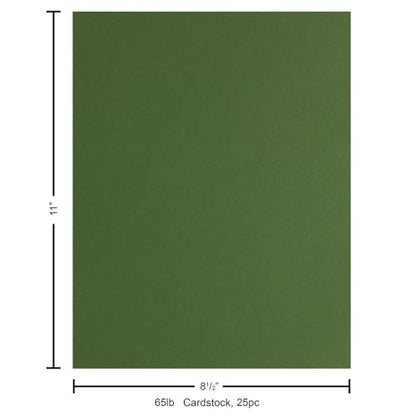 PA Paper Accents Stash Builder Cardstock 8.5" x 11" BParrot