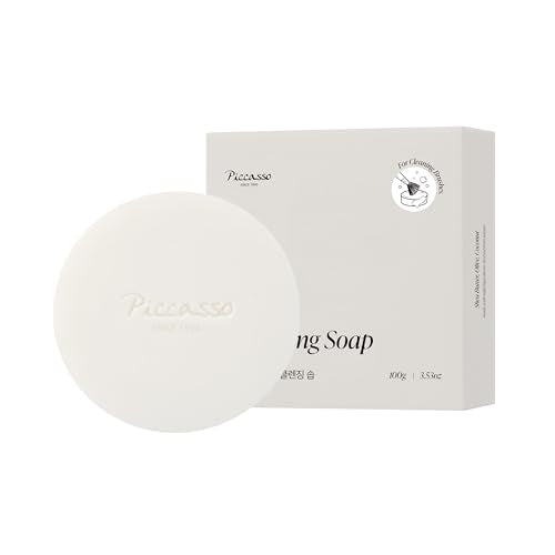 Brush Cleaner Soap with Case & Cleaning Mat