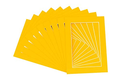Pack of Ten Acid Free 11x14 Mats Bevel Cut for 8.5x11 Photos (10 Count)