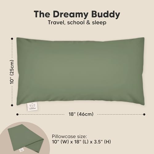 Toddler Pillow with Pillowcase