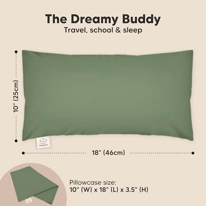 Toddler Pillow with Pillowcase