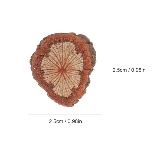 Wood Slices Small Unfinished Wood Natural Tree Bark Irregular Log Slices for Crafts Arts Table Centerpieces Decoration