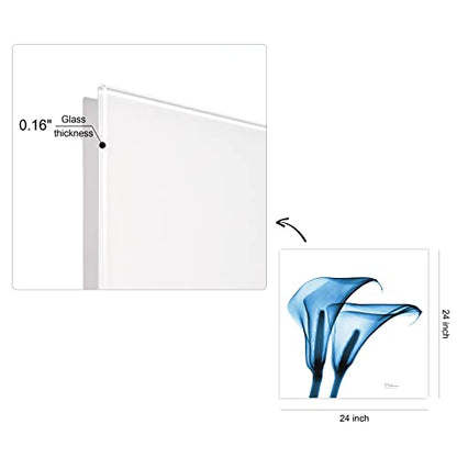 Frameless Free Floating Tempered Glass Panel Graphic Wall Art Ready to Hang (2 Count)