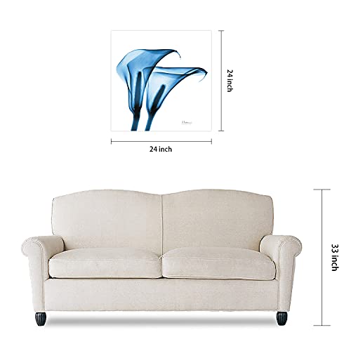 Frameless Free Floating Tempered Glass Panel Graphic Wall Art Ready to Hang (2 Count)