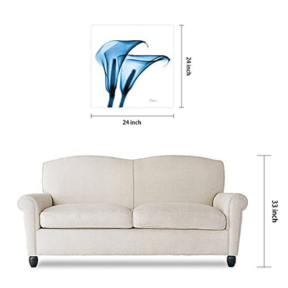 Frameless Free Floating Tempered Glass Panel Graphic Wall Art Ready to Hang (2 Count)