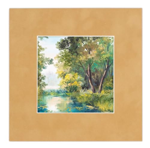 Pack of Ten Acid Free 11x14 Mats Bevel Cut for 8.5x11 Photos (10 Count)